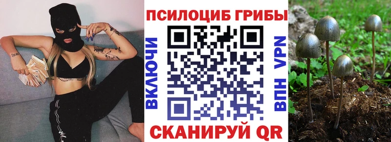 Галлюциногенные грибы Psilocybe что такое наркотик Камбарка